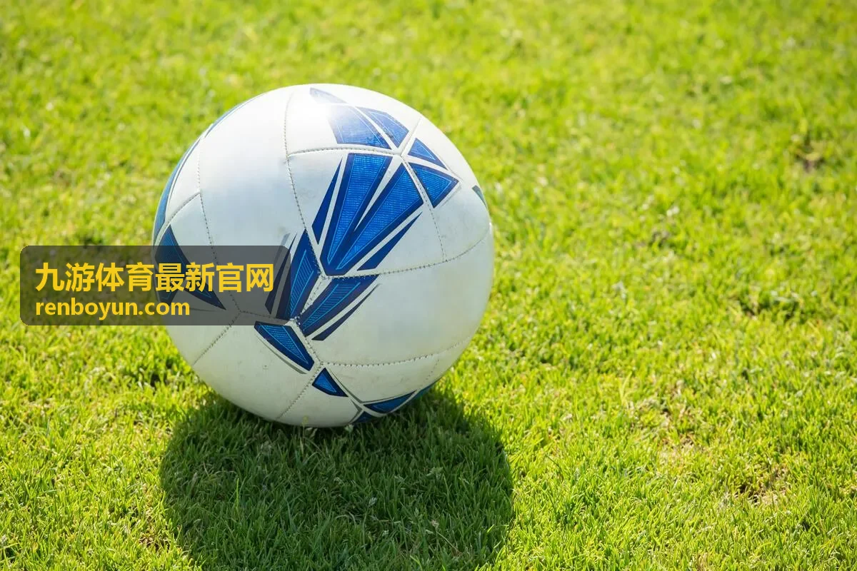 九游体育最新官网平台功能说明界面示意